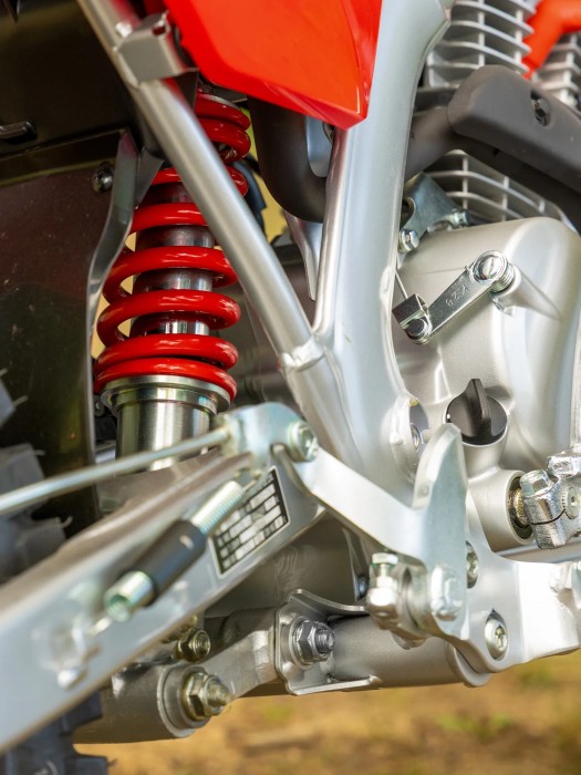 Rugged Steel Frame & Swingarm Rugged Steel Frame & Swingarm