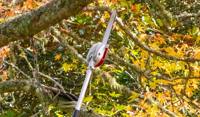 Translucent oil reservoir