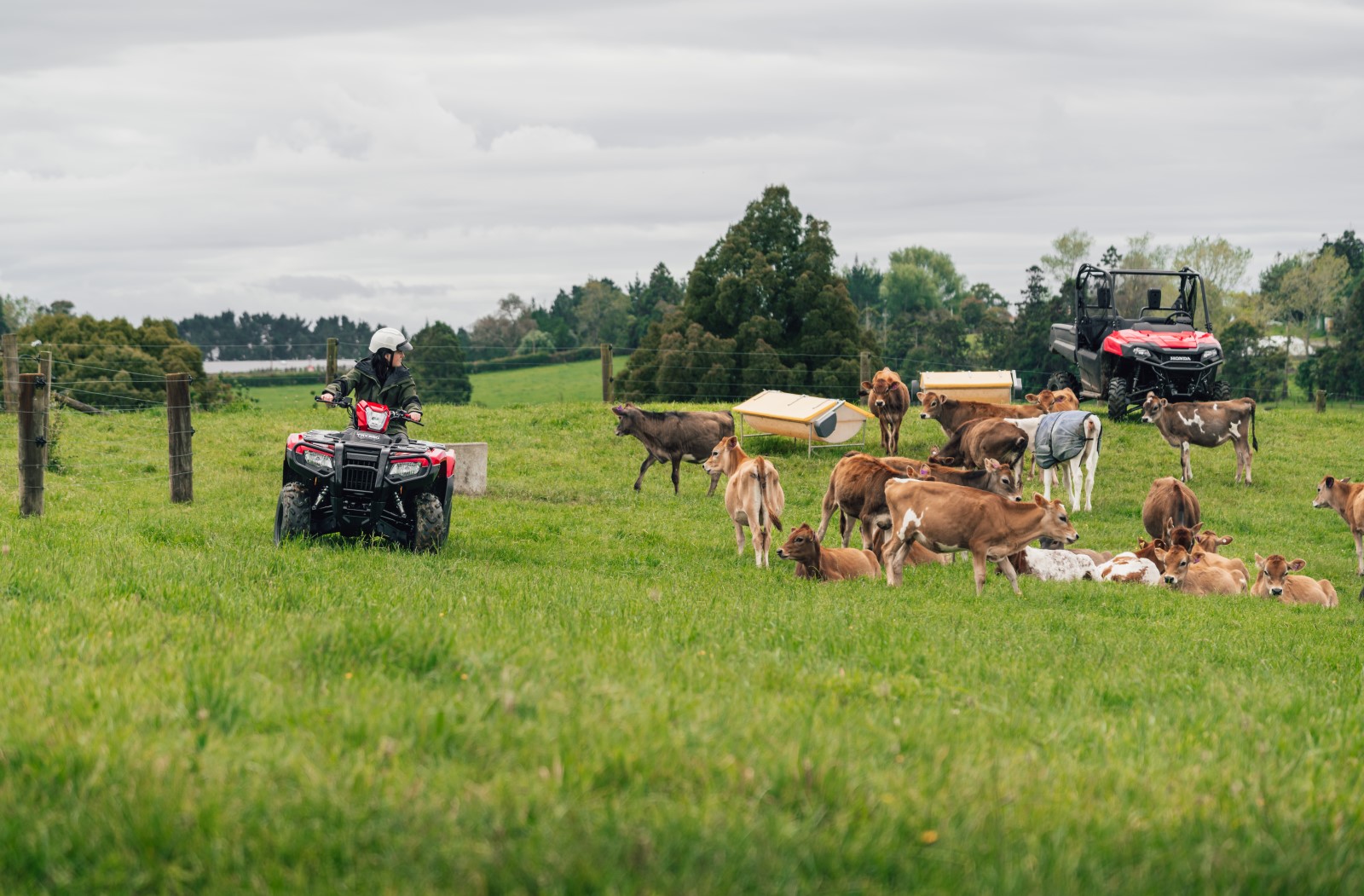 Dairy Industry Awards